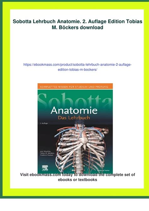 Sobotta Spielend Durch Die Anatomie Mit Studentco