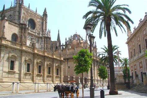 11 Top Things To Do In Seville You Can T Miss My Flying Leap