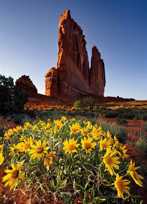 Photography Guide to Arches National Park - Nature TTL