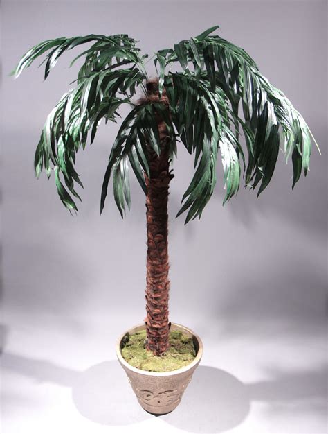 Potted Palm Trees - West Coast Event Productions, Inc.