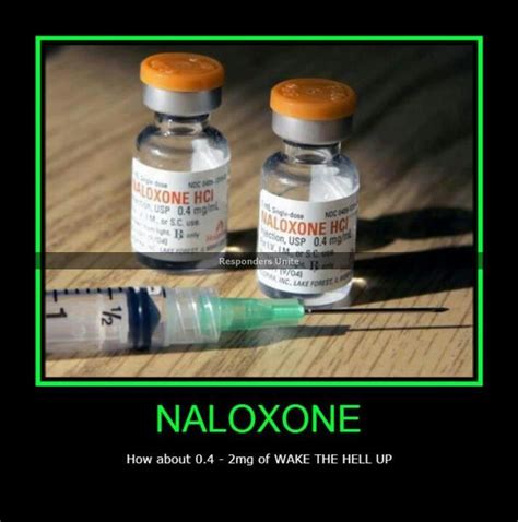 EMS Education Blog: INTRANASAL NALOXONE: A NEW WEAPON IN THE BLS ARSENAL - FDNY Journal