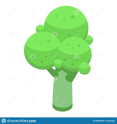 Healthy Brocoli Icon Isometric Style Stock Vector Illustration Of