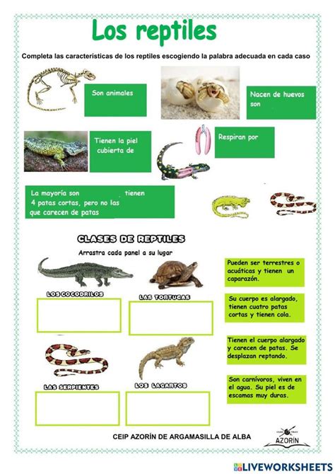 the poster shows different types of reptiles and their names in spanish ...