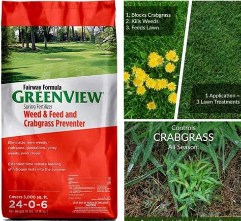 7 Best Weed And Feed Reviews To Give Your Lawn A Professional Look