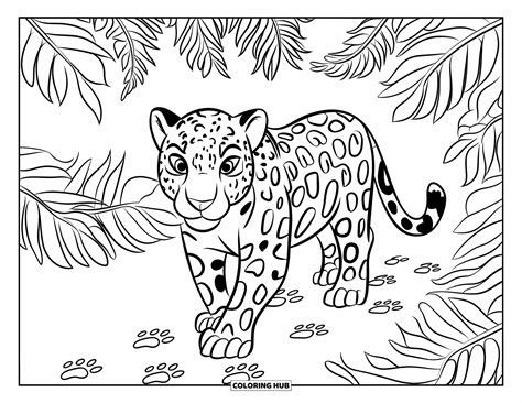 105 Dibujos De Jaguares Para Colorear Para Niños Y Adultos Gratis
