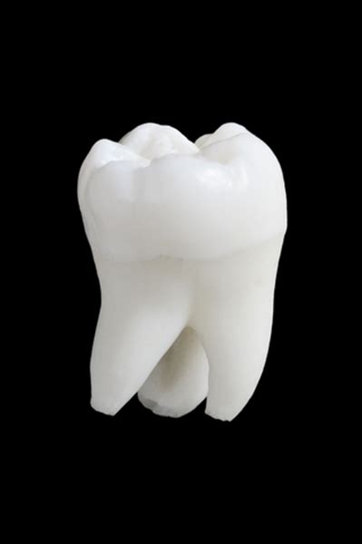 tooth