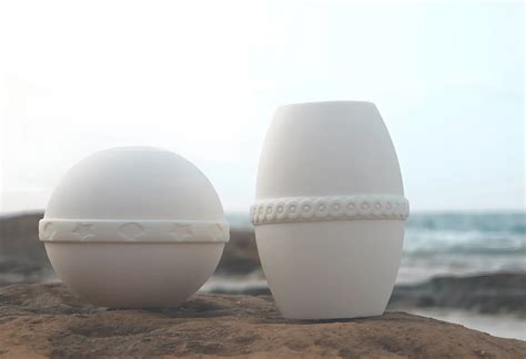 Bio-specialists explain how cremation urns can turn into trees 26