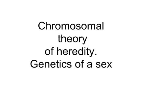 Chromosomal Theory Of Heredity Genetics Of A Sex PPT