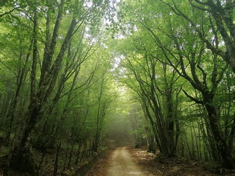 Parco Dei Nebrodi Escursionismo It