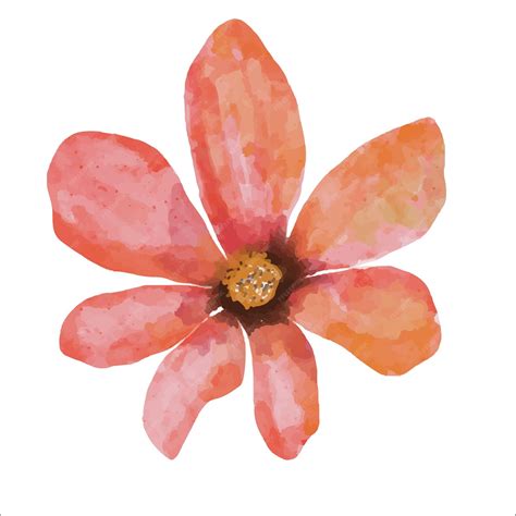 Premium Vector Flower Watercolor Illustration