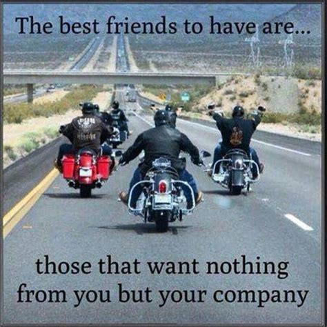 Motorcycle Funny Quotes - Motorcycle You