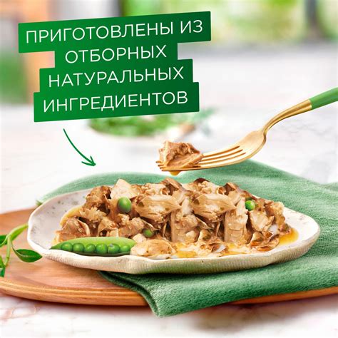 Корм для кошек Гурмэ 75г Натуральные рецепты с индейкой и горошком ...