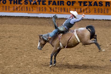 Rodeo