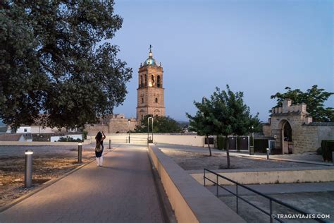 Montilla, Córdoba, un lugar donde conviven olivos, viñedos y cultura