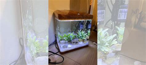 Аквариум 6 литров купить в Москве | Животные и зоотовары | Авито