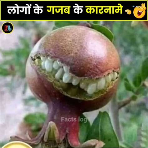 ऐसे Funny लोग जो आपने कभी नहीं देखे होंगे 🤣😂funny Amazing Facts