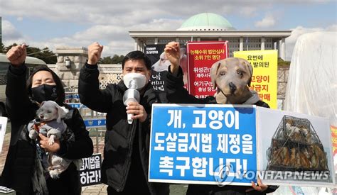 개 고양이 도살금지법 제정하라 연합뉴스