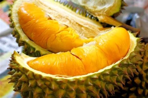 Sensasi Legit Durian Bawor Asli Banyumas Sonora Id