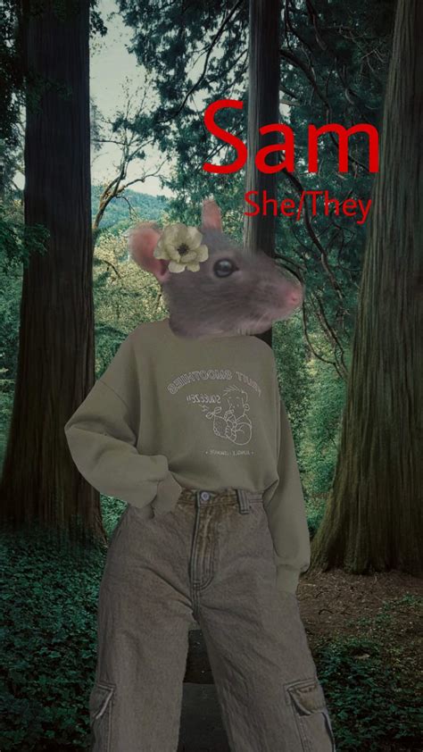 Sam Wiki Weirdcore Cult Amino