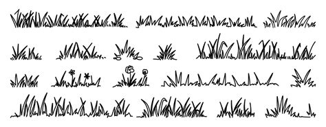 Doodle Grass Sketch Natural Field Grass Outline Hand Drawn Wild Grassy Plants Organic Herb