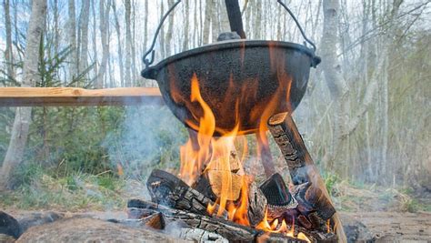 Wilderness Cooking: Delicious Recipes for Surviving in the Outdoors ...