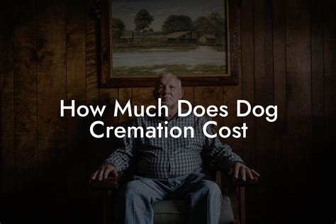 How Much Does Dog Cremation Cost Eulogy Assistant