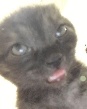 Curated Story Lists Gay Kinky Stories