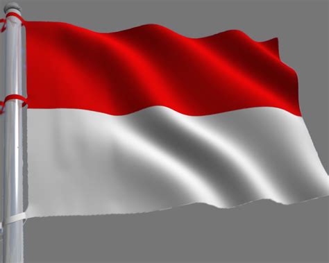 Bendera Merah Putih Tanpa Background Powerpoint Bergerak Imagesee