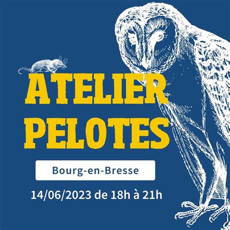 Atelier pelotes et découverte des rapaces nocturnes de lAin J agis