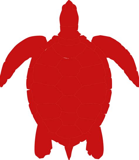 Sketsa Gambar Kura Kura Kartun Hitam Putih Desain Kura Kura Hd Png Images