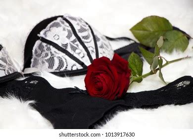 Sexy Black White Lingerie Red Rose Stock Photo Shutterstock