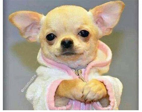 Types Of Sex Education Nigerian Parents Give Zikoko