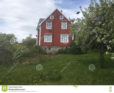 House Stock Image Image Of Summer House Norway Green 74753467