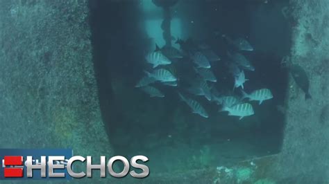 El Acuario Del Mundo El Mar De Cortés El Otro México Youtube