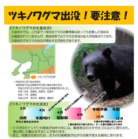 【高槻市】今年初。本日5月10日月クマの目撃情報がありました。万が一、クマに遭遇したときの対処方法は？！ 号外net 高槻市・島本町