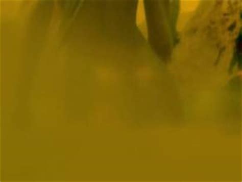 Shushila Takao Nude Aznude