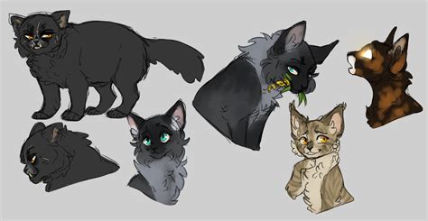 Warrior Cats Thunderclan Medicine Cats