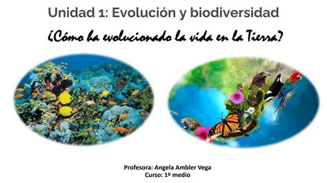 SOLUTION Unidad I Biodiversidad Studypool