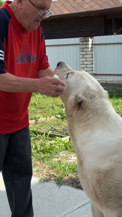 ПАПА И РАША - YouTube