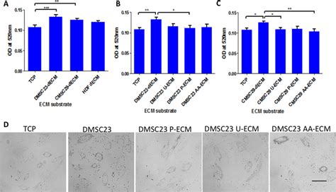 Quantification Of Adipogenesis Of Dmsc Through Oil Red O Staining And