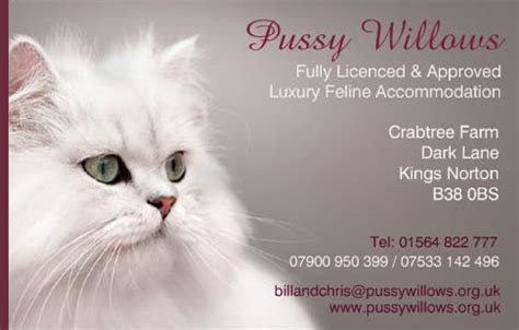 Pussy Willows Luxury Feline Accommodation Birmingham Cattery West