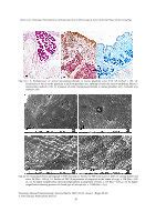 Pdf Histology Histochemistry And Scanning Electron Microscopy