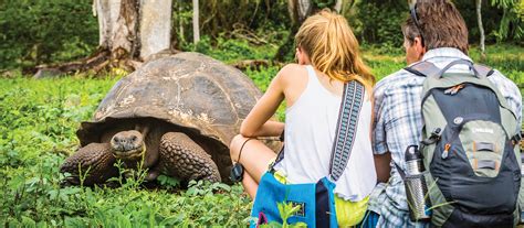 Galápagos Escape An 8 Day Voyage National Geographic Expeditions