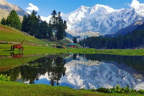 Visiting Fairy Meadows Trek Nanga Parbat Base Camp