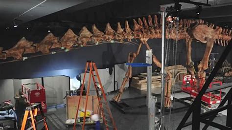 A Giant Dinosaur Enters the Museum of Natural History in New York ...