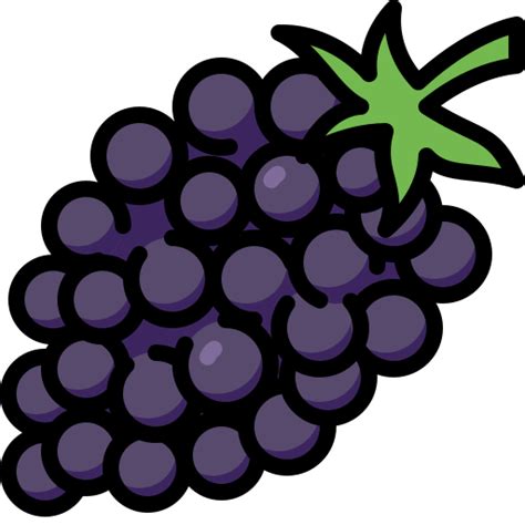 blackberries generic color lineal color icon