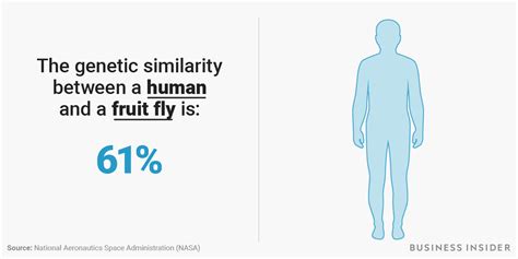 What Do Humans Share 60 Of Their Dna With