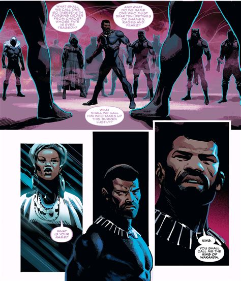 Ta Nehisi Coates Black Panther Run Finally Returns This Wednesday And I Can T Wait To See How