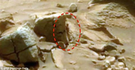 Latest Claims Says Nasa Photo Shows Tiny Human Like Alien Peering Around A Rock Daily Mail Online