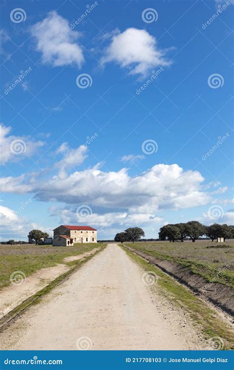 Camino Solitario En Medio Del Campo Imagen De Archivo Imagen De Pasto